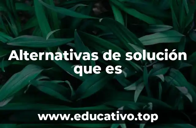 Alternativas de solución que es