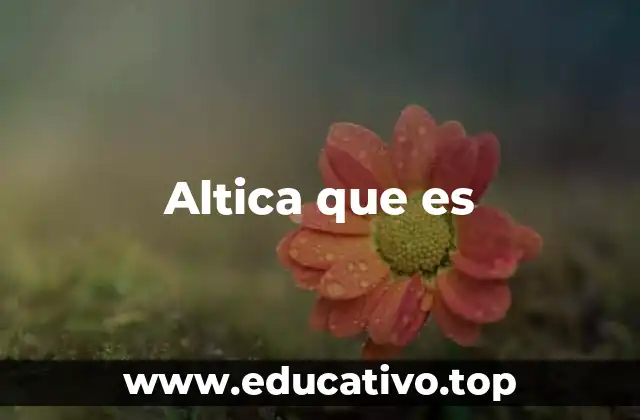 Altica que es