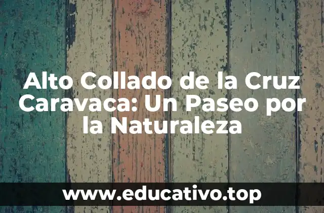 Alto Collado de la Cruz Caravaca: Un Paseo por la Naturaleza