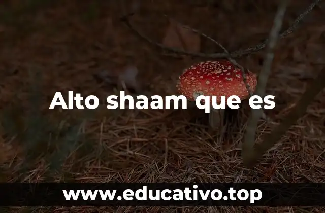 El origen del término Alto Shaam