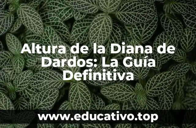 Altura de la Diana de Dardos: La Guía Definitiva