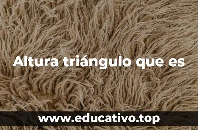 Altura triángulo que es