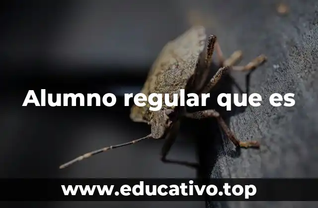 Alumno regular que es