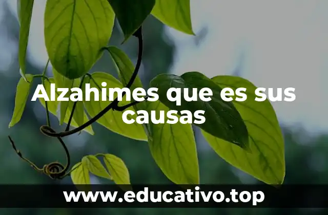 Alzahimes que es sus causas