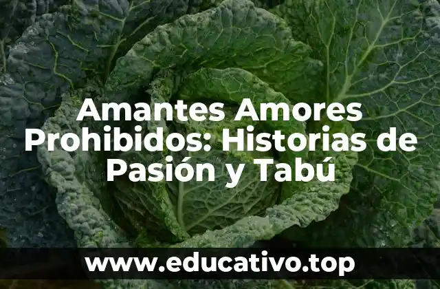 Amantes Amores Prohibidos: Historias de Pasión y Tabú