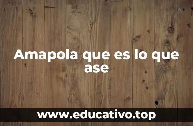 La amapola y su doble cara: belleza y peligro