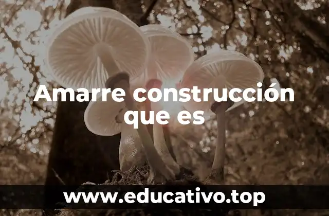 Amarre construcción que es