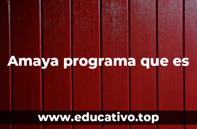 Amaya programa que es