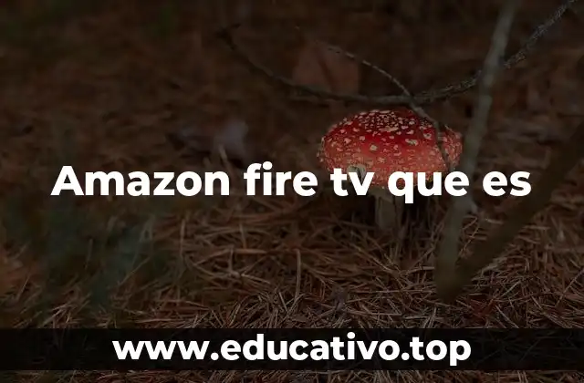 Amazon fire tv que es