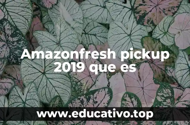 Amazonfresh pickup 2019 que es