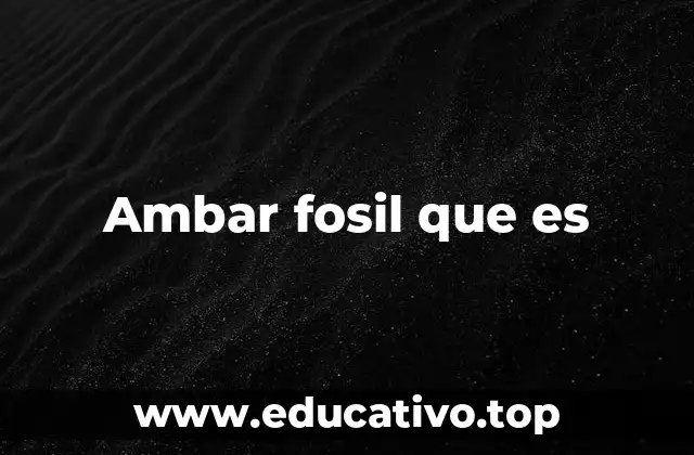 Ambar fosil que es