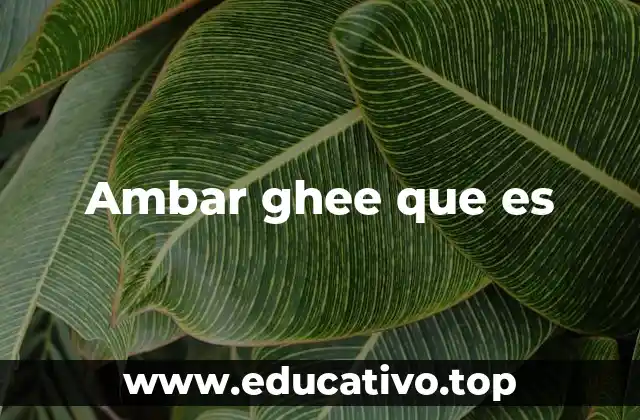 Ambar ghee que es