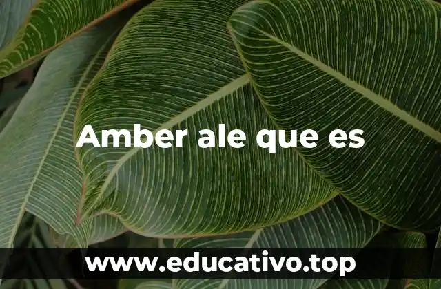 Amber ale que es