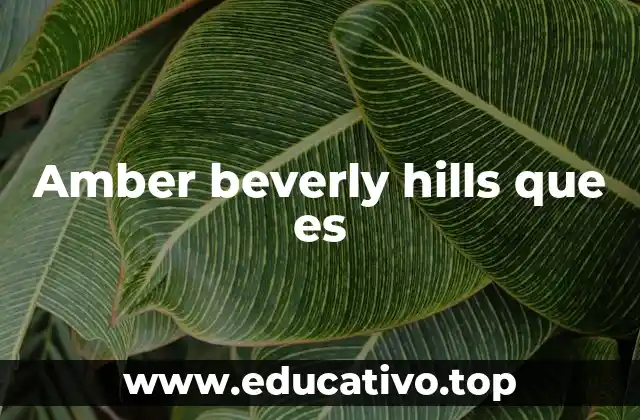 Amber beverly hills que es
