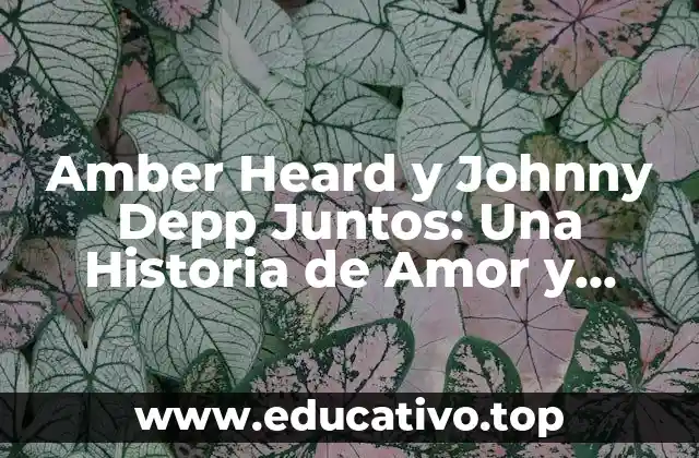 Amber Heard y Johnny Depp Juntos: Una Historia de Amor y Controversia