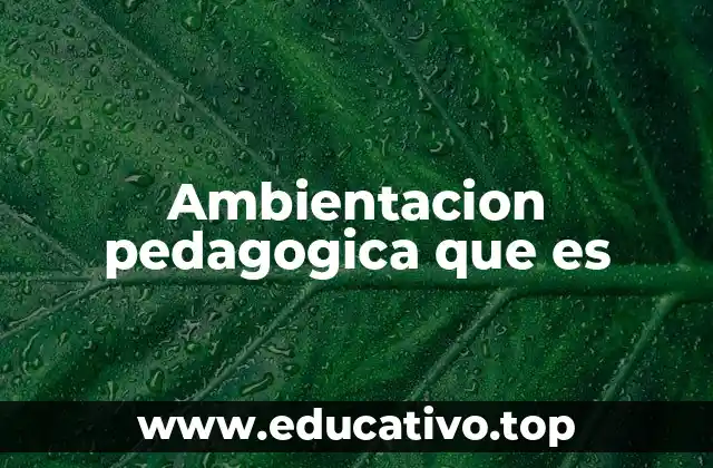 Ambientacion pedagogica que es