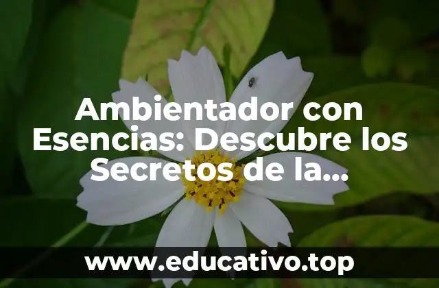 Ambientador con Esencias: Descubre los Secretos de la Aromaterapia