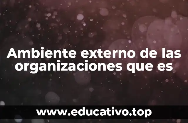 Ambiente externo de las organizaciones que es