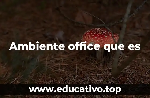 Ambiente office que es