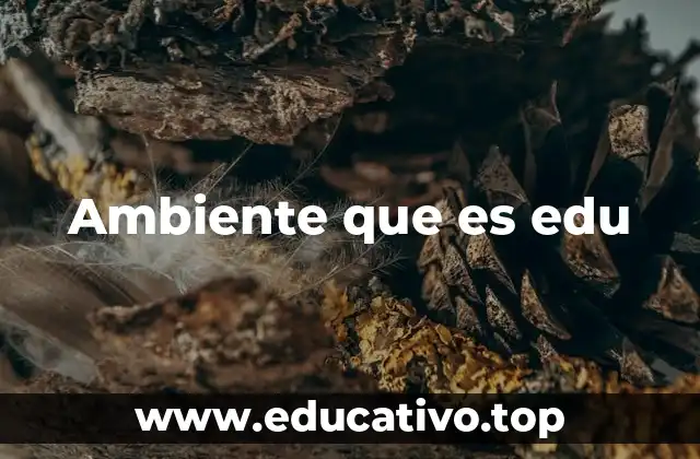 Ambiente que es edu