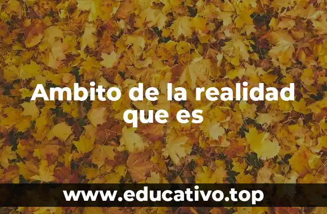 Ambito de la realidad que es