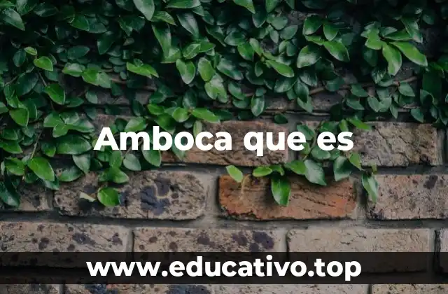 Amboca que es