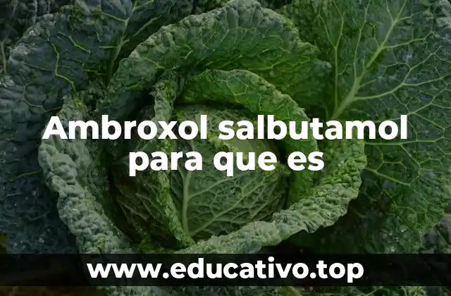 Ambroxol salbutamol para que es