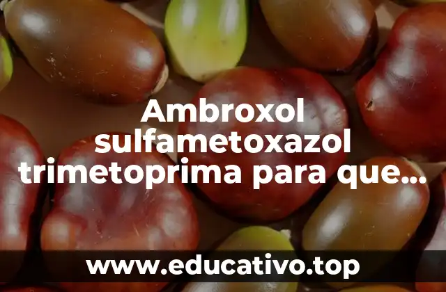 Ambroxol sulfametoxazol trimetoprima para que es