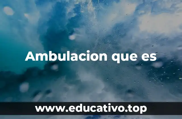 Ambulacion que es