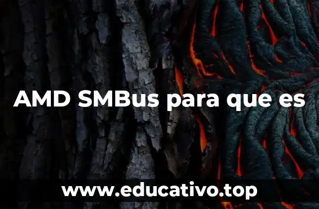 AMD SMBus para que es