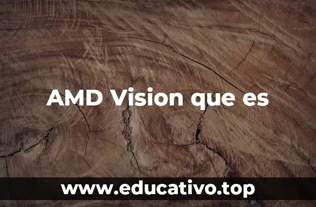 AMD Vision que es