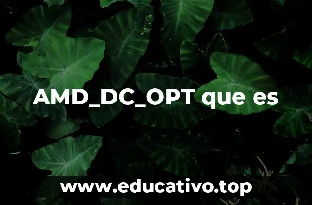 AMD_DC_OPT que es