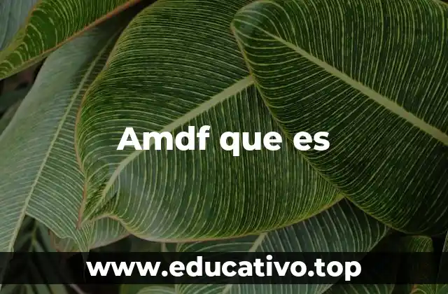 Amdf que es