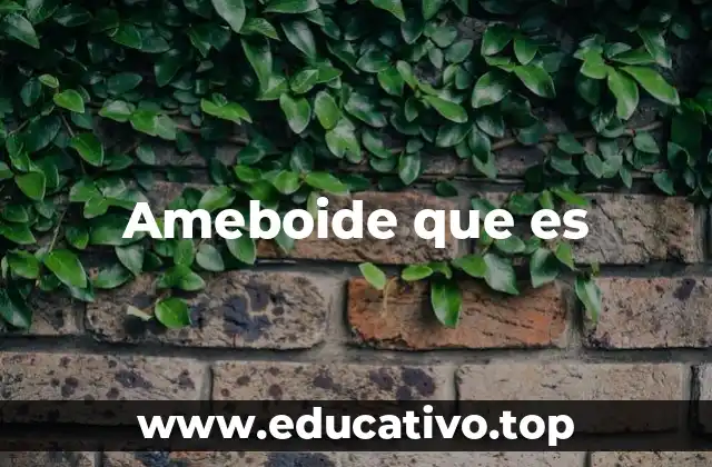 Ameboide que es