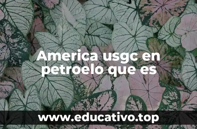 America usgc en petroelo que es