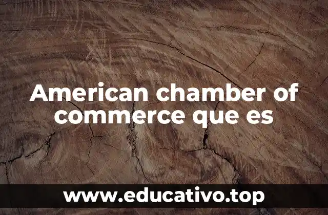 American chamber of commerce que es
