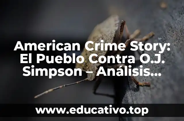 American Crime Story: El Pueblo Contra O.J. Simpson – Análisis Detallado de la Serie