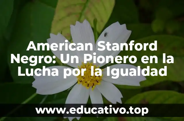 American Stanford Negro: Un Pionero en la Lucha por la Igualdad