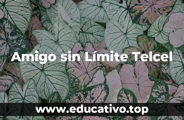 Amigo sin Límite Telcel