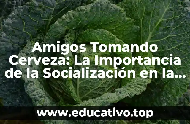 Amigos Tomando Cerveza: La Importancia de la Socialización en la Vida Adulta