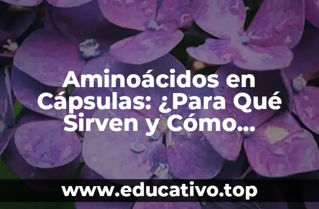 Aminoácidos en Cápsulas: ¿Para Qué Sirven y Cómo Funcionan?