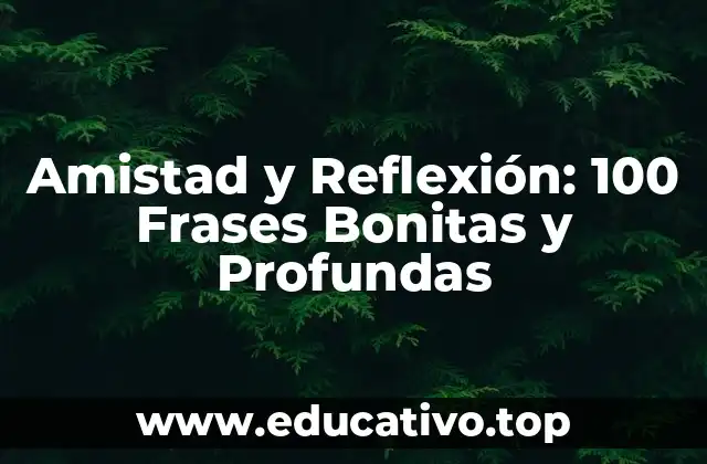 Amistad y Reflexión: 100 Frases Bonitas y Profundas