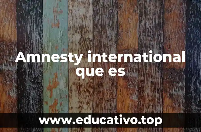 Amnesty international que es