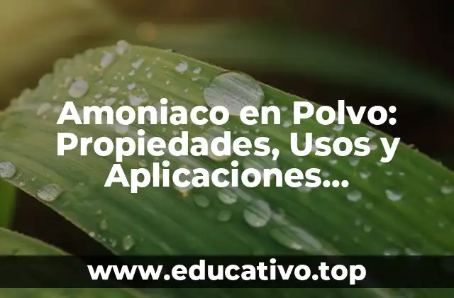 Amoniaco en Polvo: Propiedades, Usos y Aplicaciones Industriales