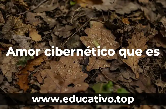 Amor cibernético que es