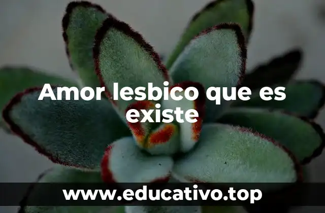 Amor lesbico que es existe