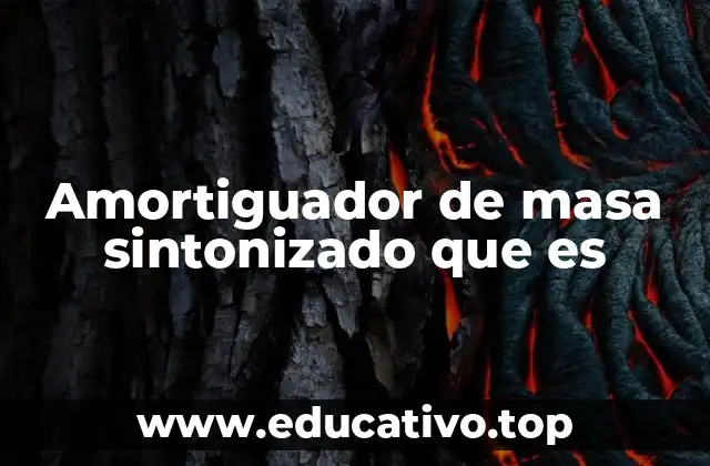 Amortiguador de masa sintonizado que es