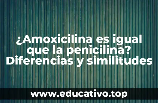 ¿Amoxicilina es igual que la penicilina? Diferencias y similitudes