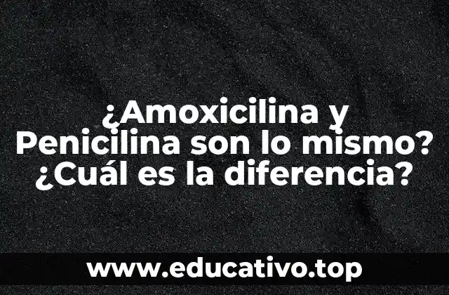 ¿Amoxicilina y Penicilina son lo mismo? ¿Cuál es la diferencia?