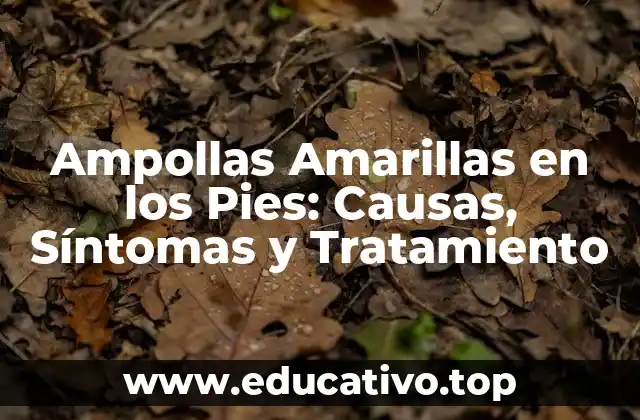 Ampollas Amarillas en los Pies: Causas, Síntomas y Tratamiento
